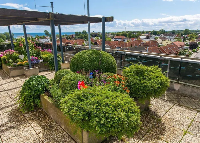 Berolina-801-meerestraum *